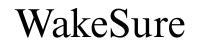 TryWakeSure